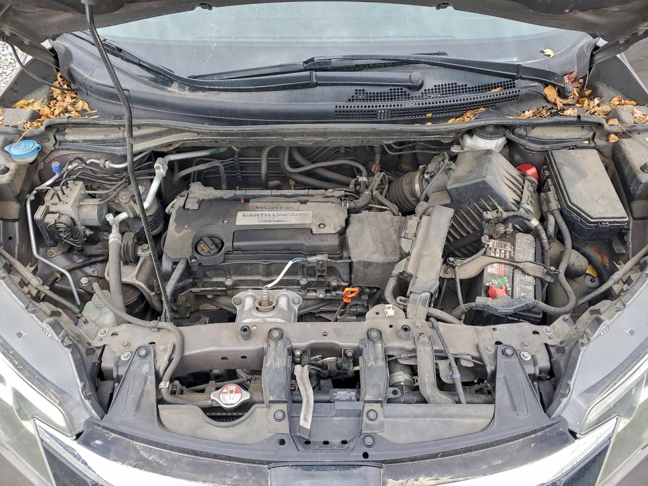 Honda Crv Lx Image 10