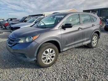  Salvage Honda Crv