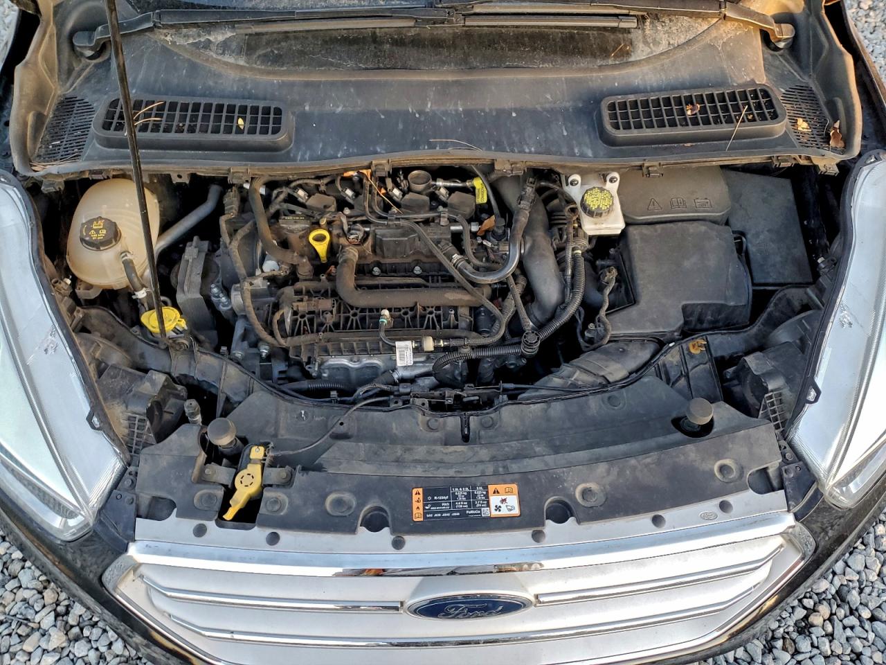 Ford Escape Se Image 9