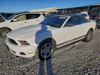 Salvage Ford Mustang