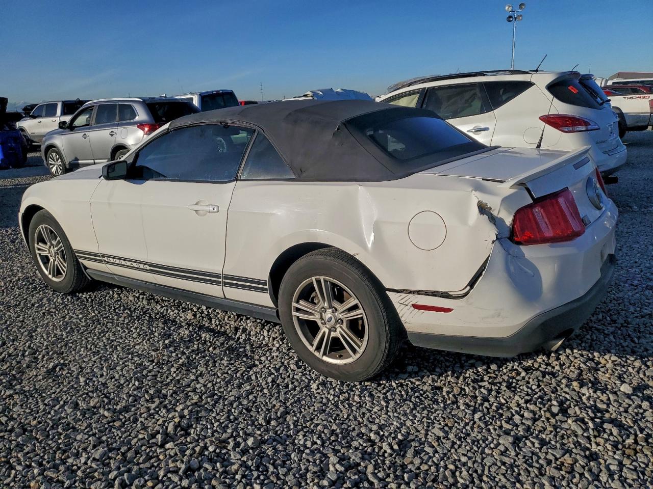 Ford Mustang Image 2