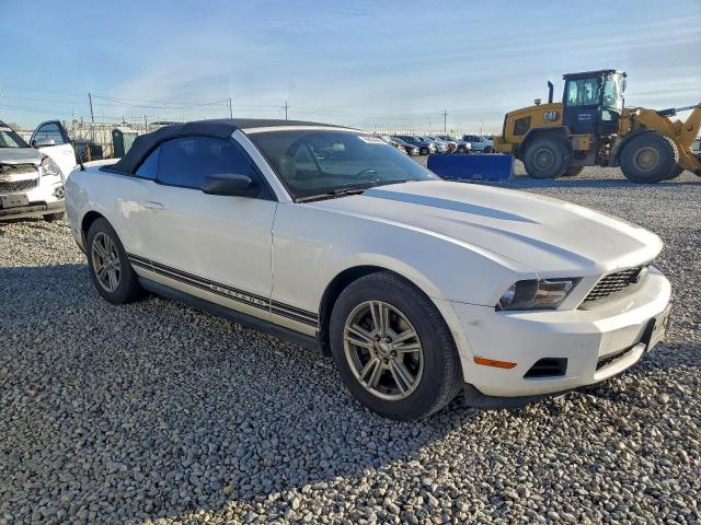 Ford Mustang Image 3