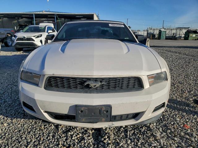 Ford Mustang Image 9