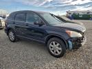 Honda Crv Se Image 13