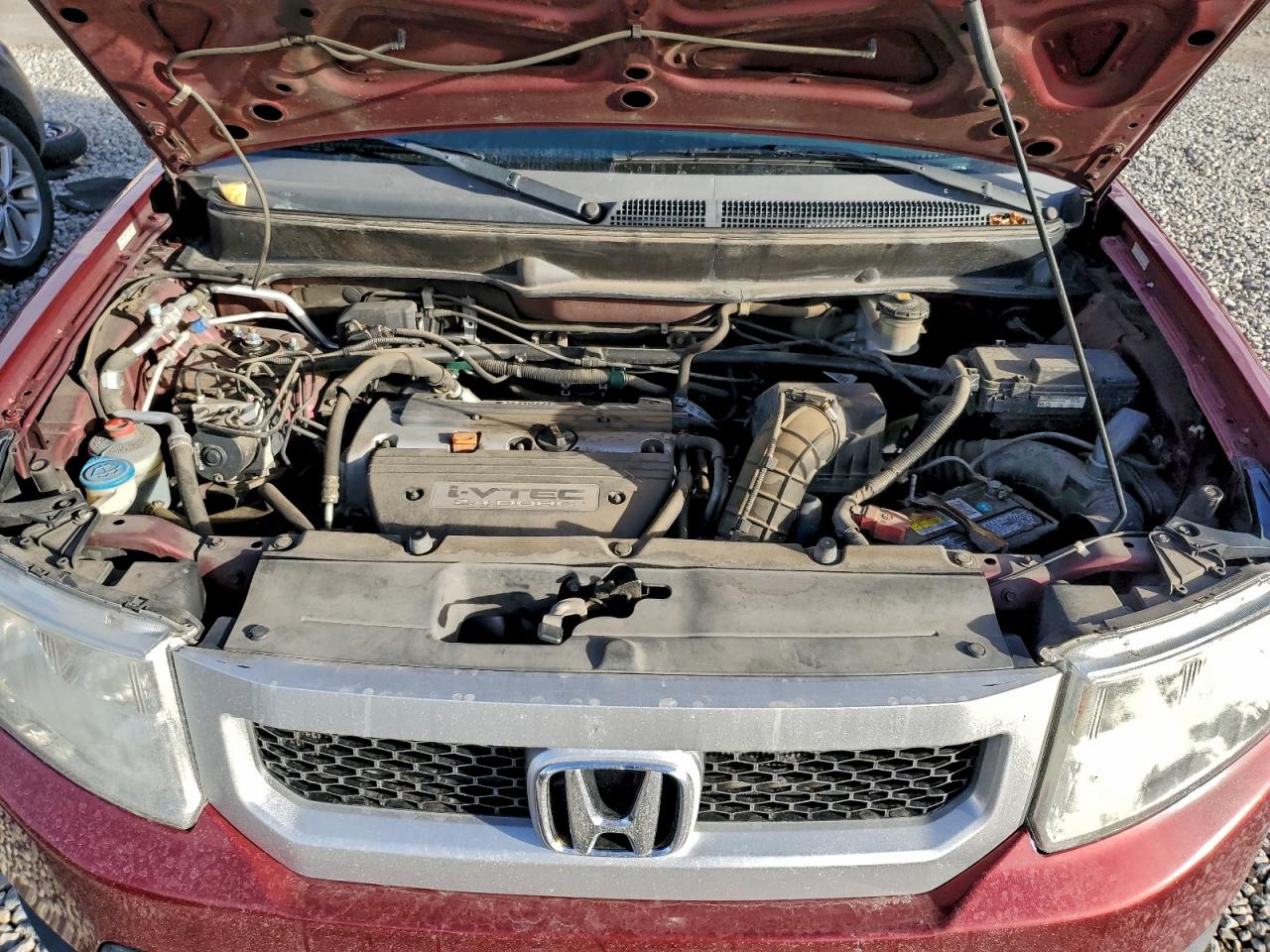 Honda Element Lx Image 10