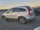 Honda Crv Exl Image 3