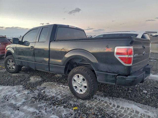 Ford F-150 Super Cab Image 2