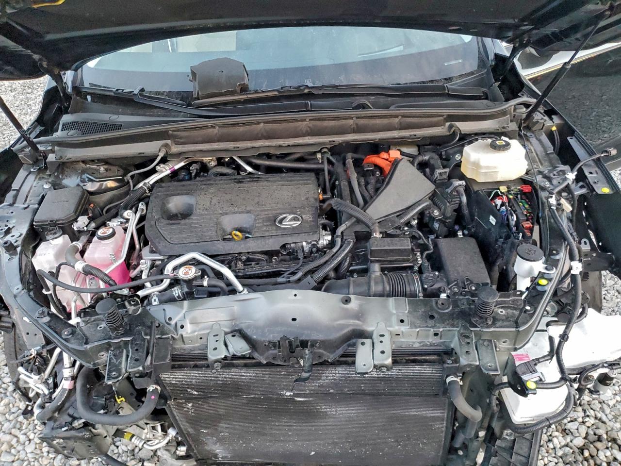 Lexus RX 450h+ Luxury Image 9