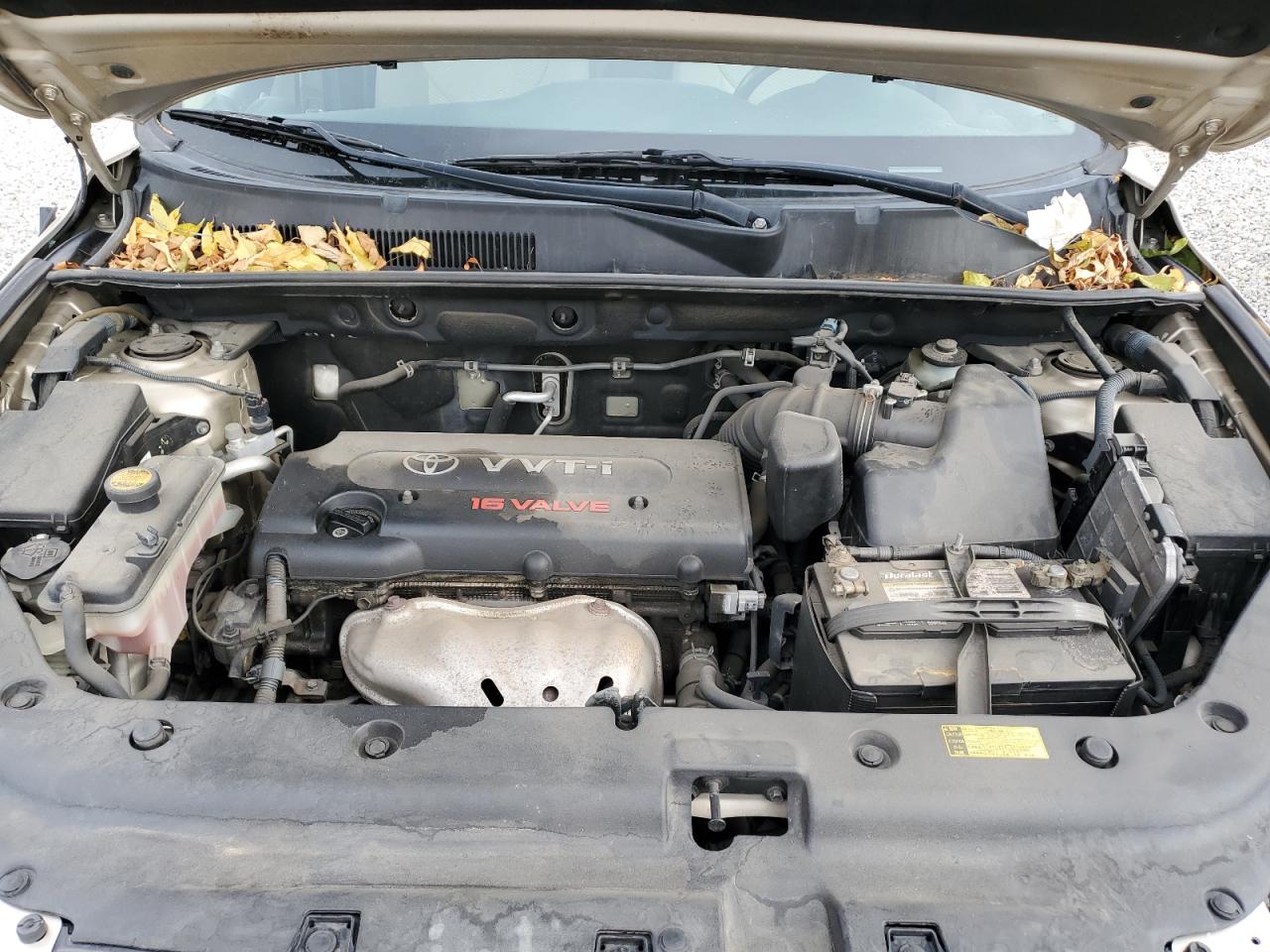 Toyota RAV4 Limited Image 5