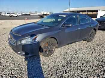  Salvage Nissan Maxima