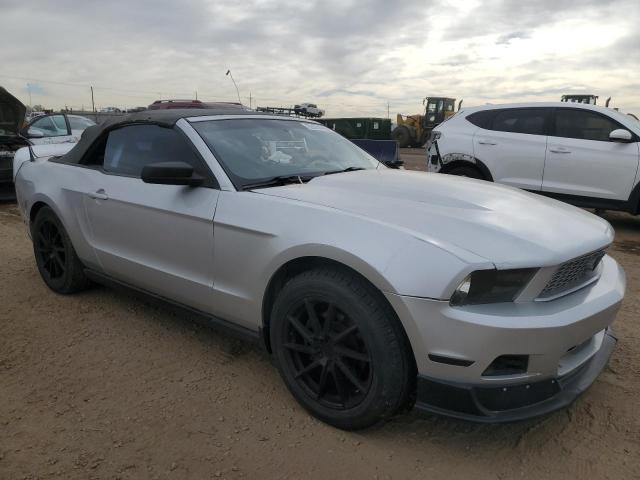 Ford Mustang Image 3