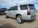 Cadillac Escalade Platinum Image 3