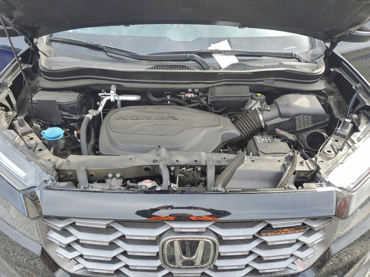 Honda Passport Trail Sport Image 9