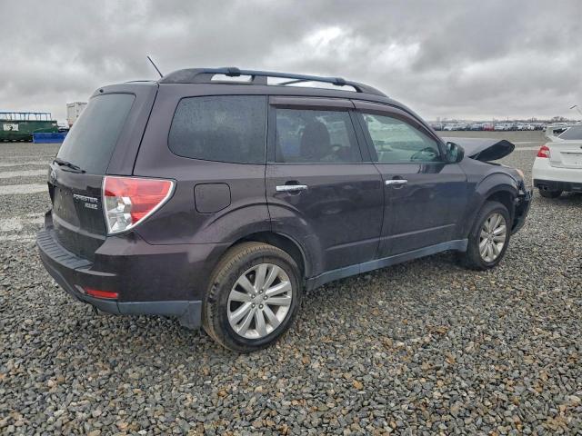 Subaru Forester Limited Image 7