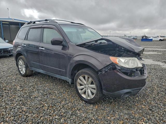 Subaru Forester Limited Image 3