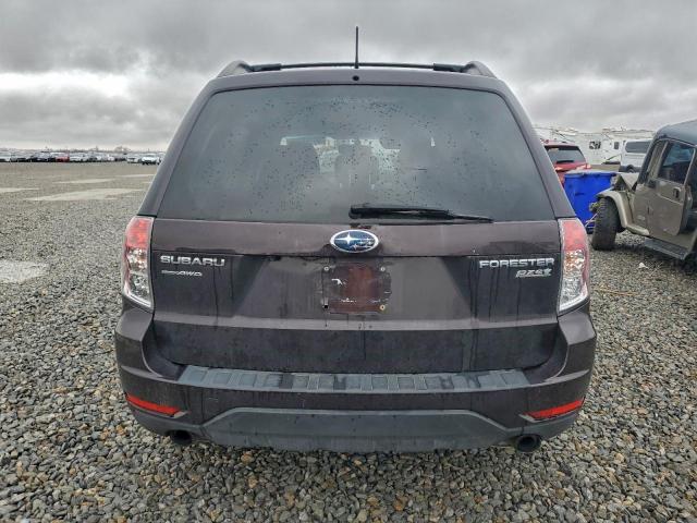 Subaru Forester Limited Image 8