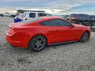 Ford Mustang Image 11