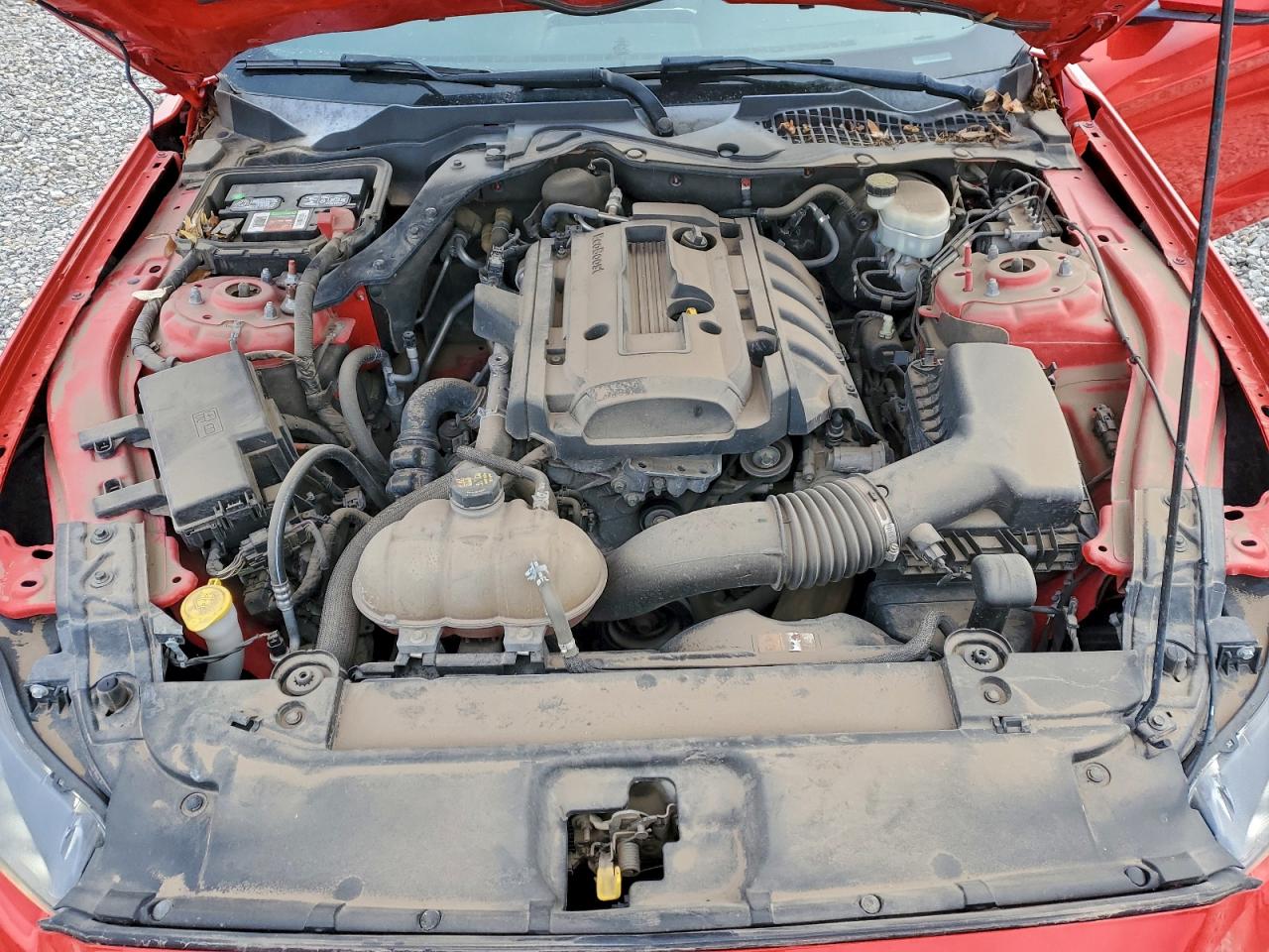 Ford Mustang Image 12