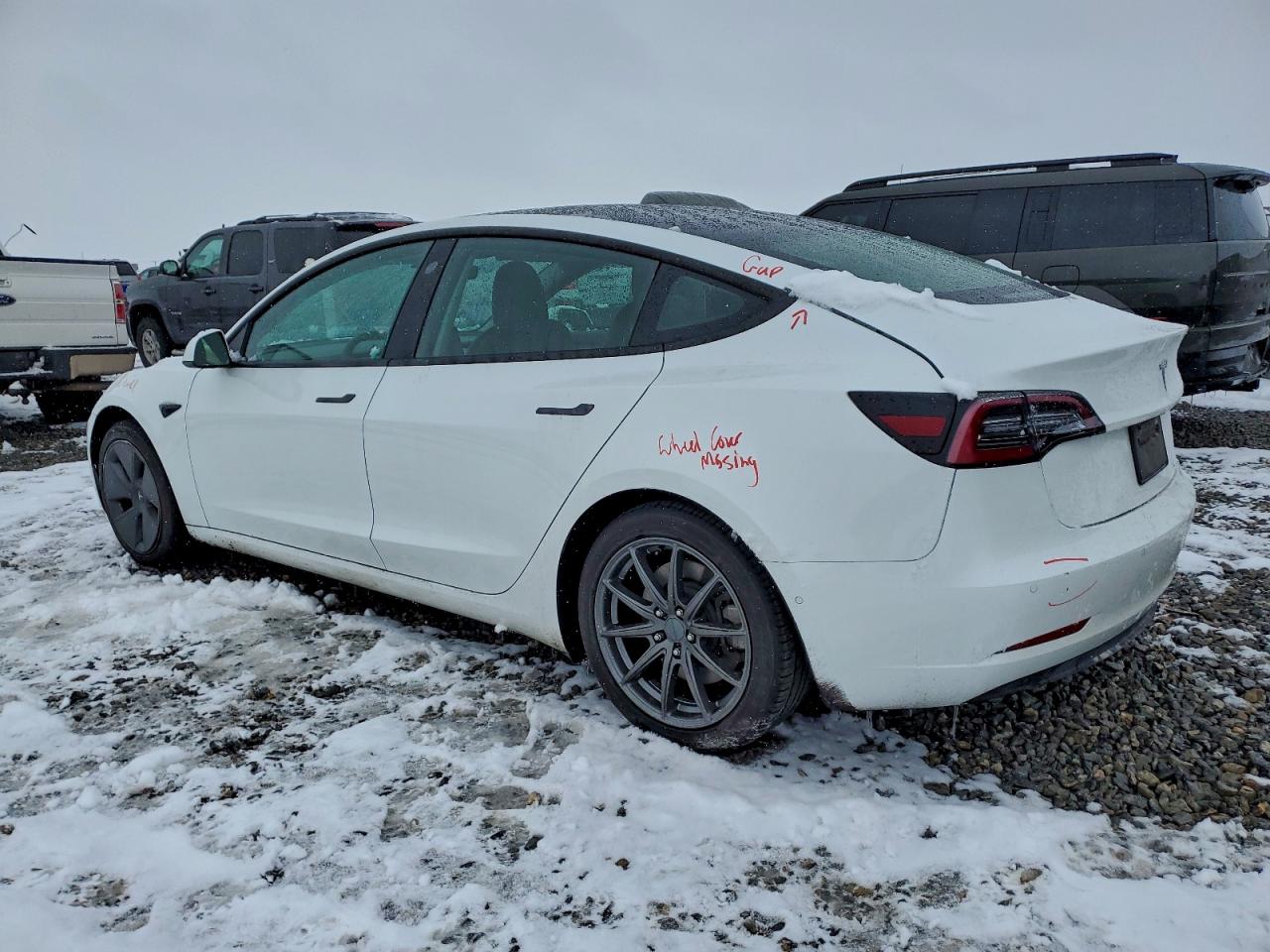 Tesla Model 3 Image 4