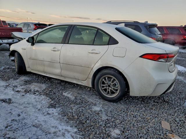 Toyota Corolla Le Image 5