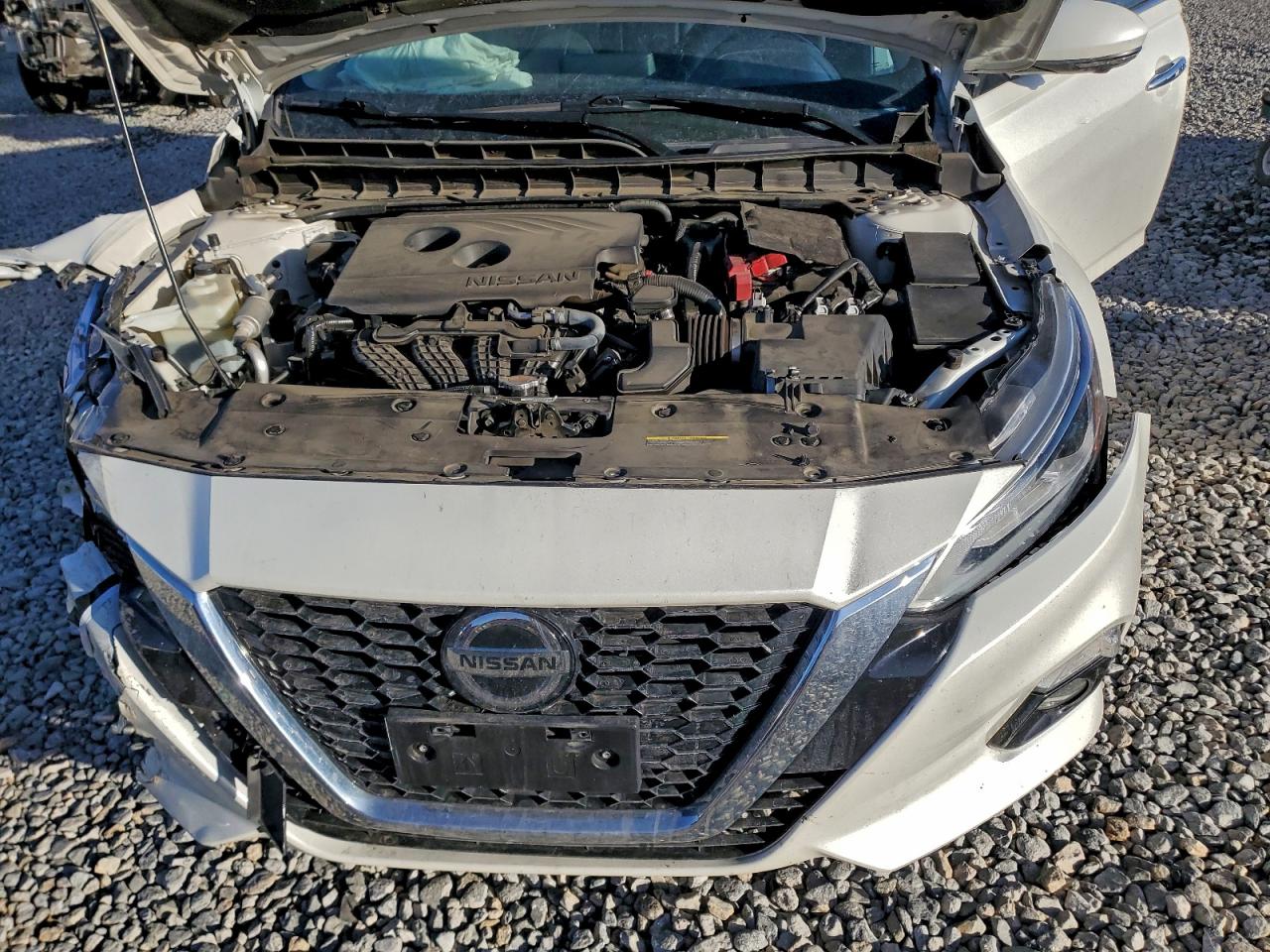 Nissan Altima Platinum Image 12