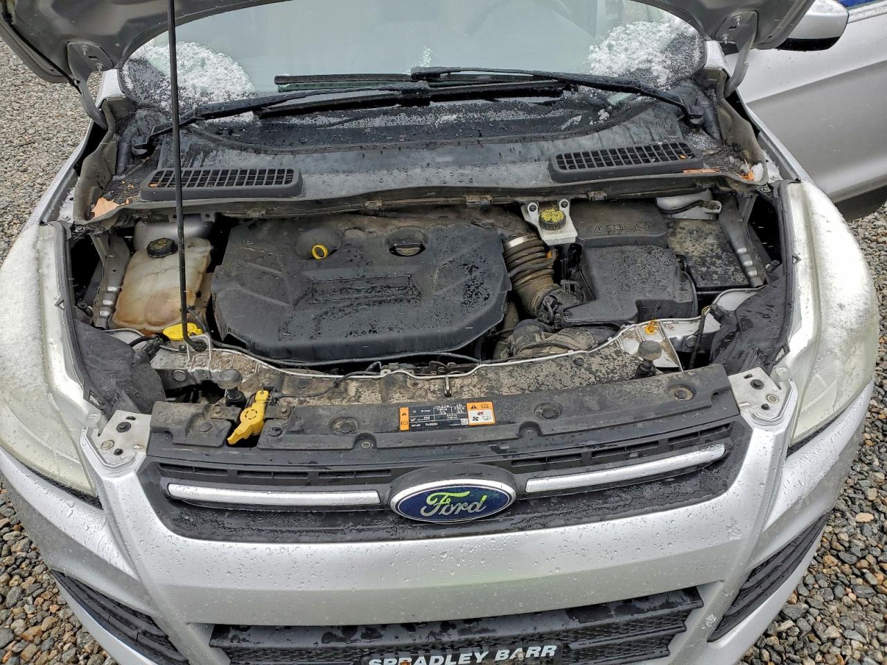 Ford Escape Se Image 8