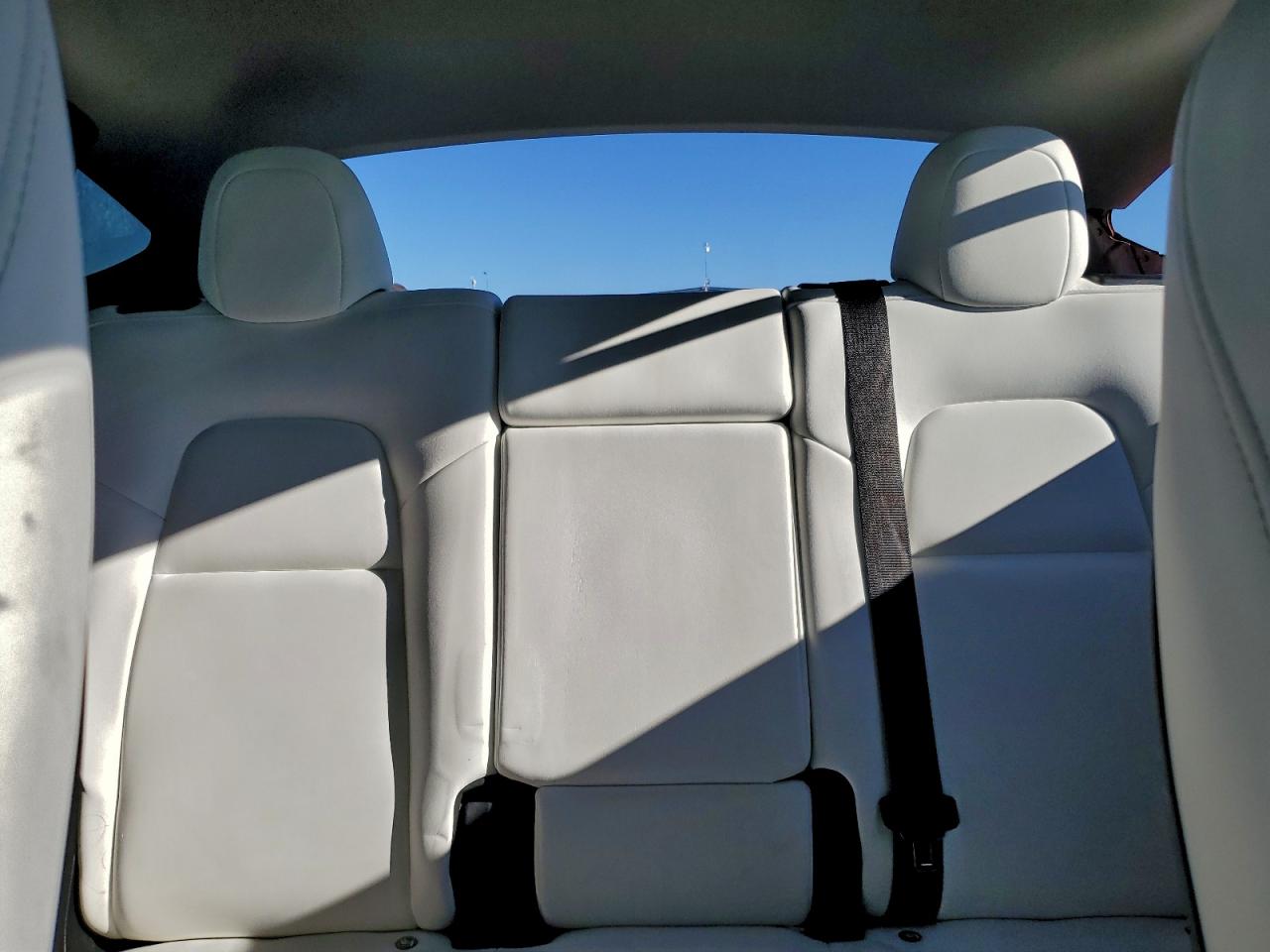 Tesla Model Y Image 13