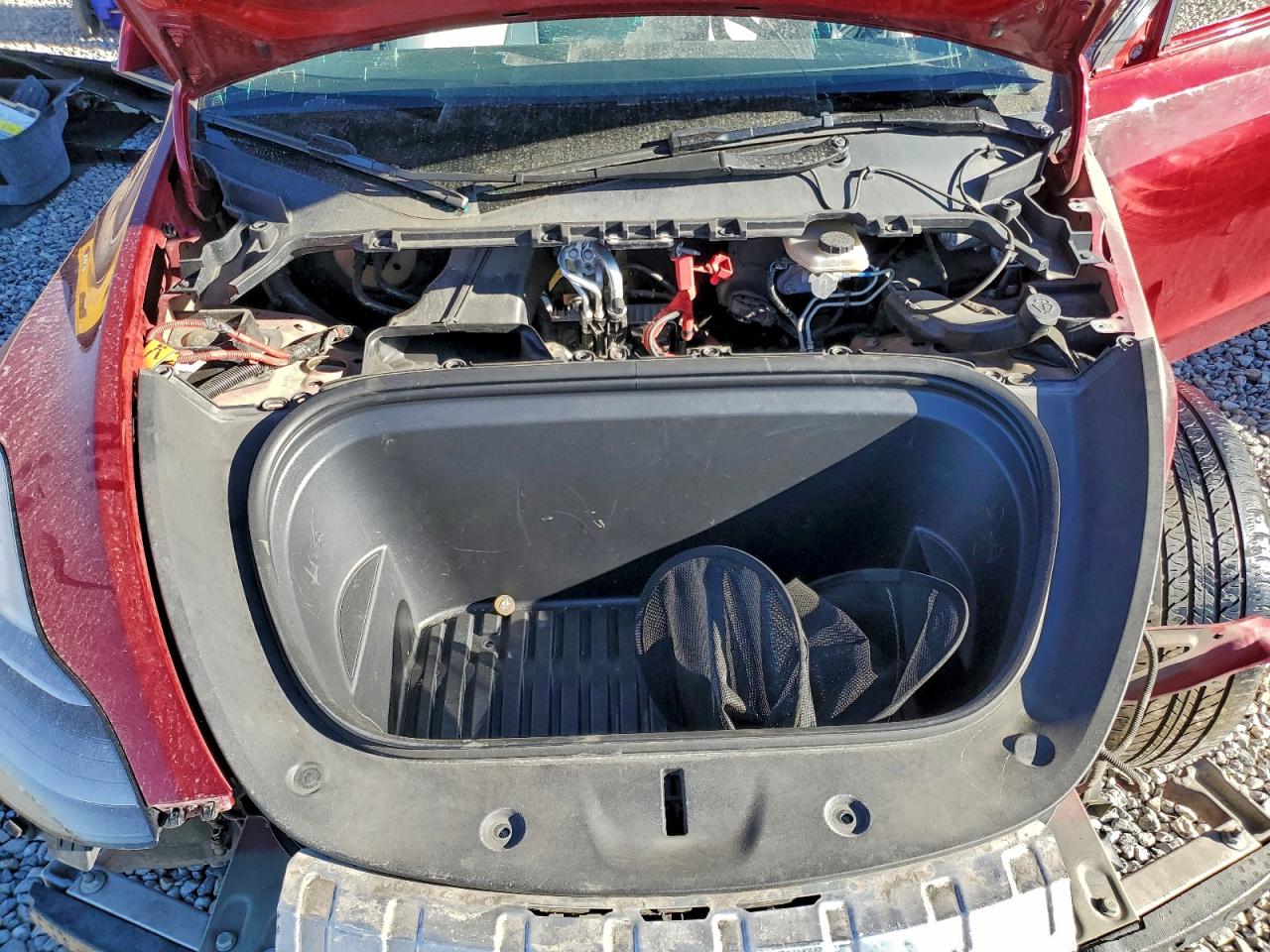 Tesla Model Y Image 10