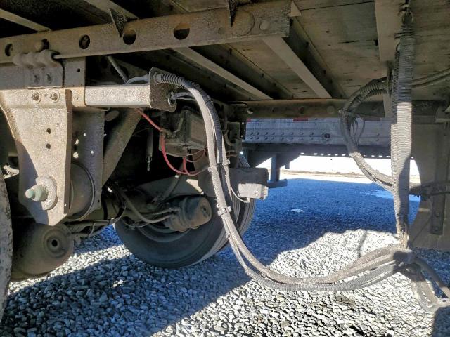 Great Dane Other Image 8